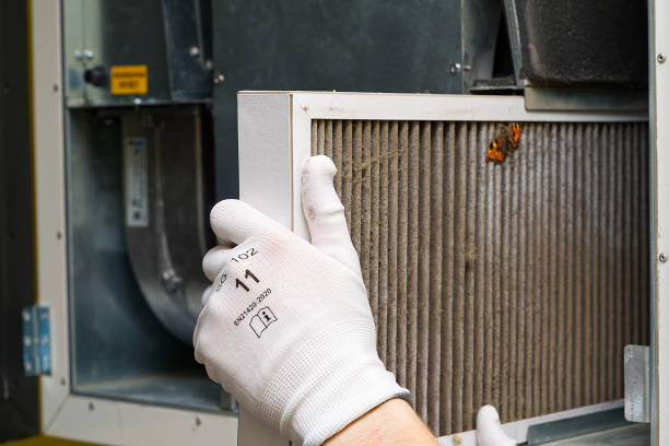Best Ductwork Cleaning Services  in Deer Park, TX